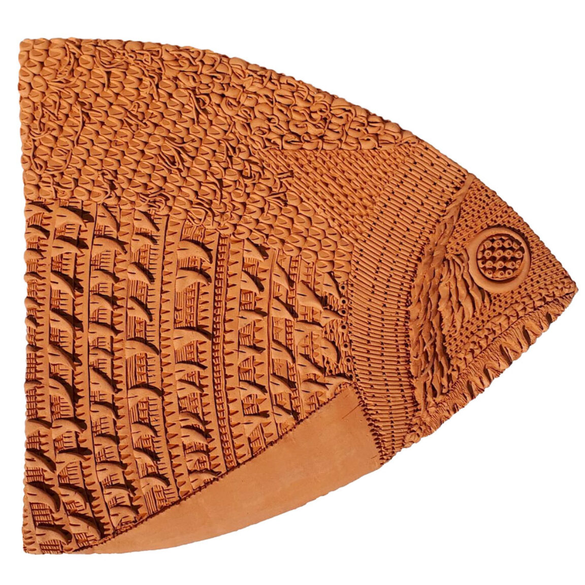 Pesce di terra e di aria